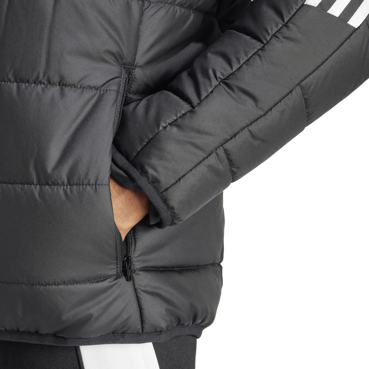 Tiro24 Winter Jacket