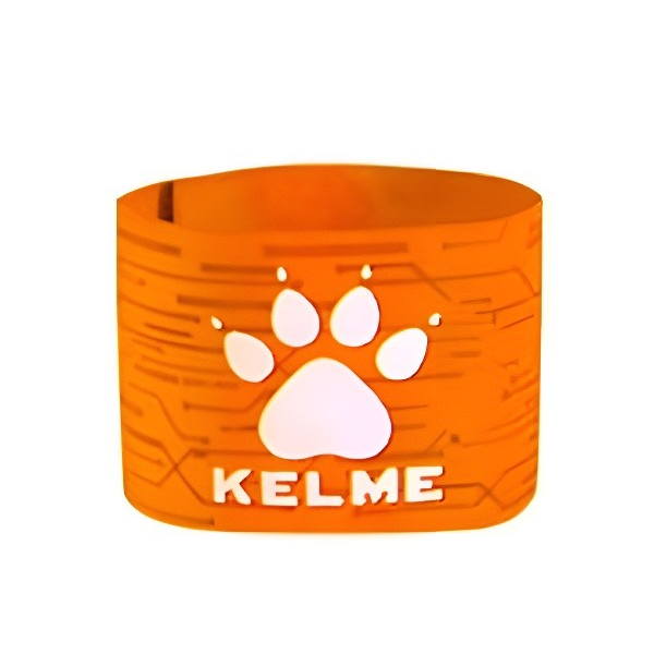 Captain Armband 2